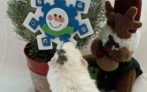 Tucker taking off another ornament.